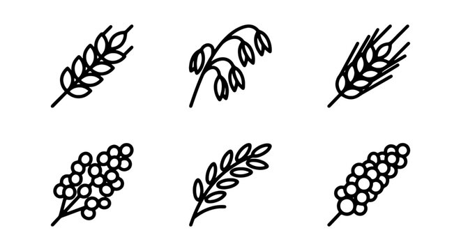 Grain Icons Set: Wheat, Oats, Barley, Millet, Rice Vector Graphics