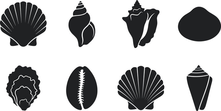 Sea shell silhouette vector icon set including scallop clam conch oyster and cowrie shells