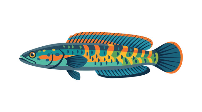 Colorful Snakehead Fish Illustration - Exotic Aquatic Animal