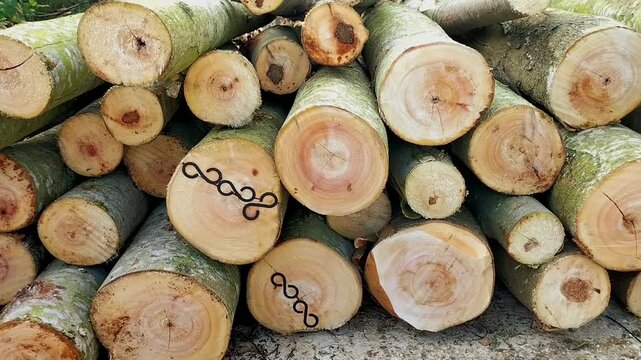Selective focus. Footage of many logs are laid in row. Wood for firewood in fireplace.
