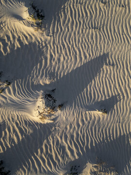 Aerial view of sand ripples and desert vegetation at Parque Natural Dunas de Corralejo, Corralejo, Canary Islands, Spain.