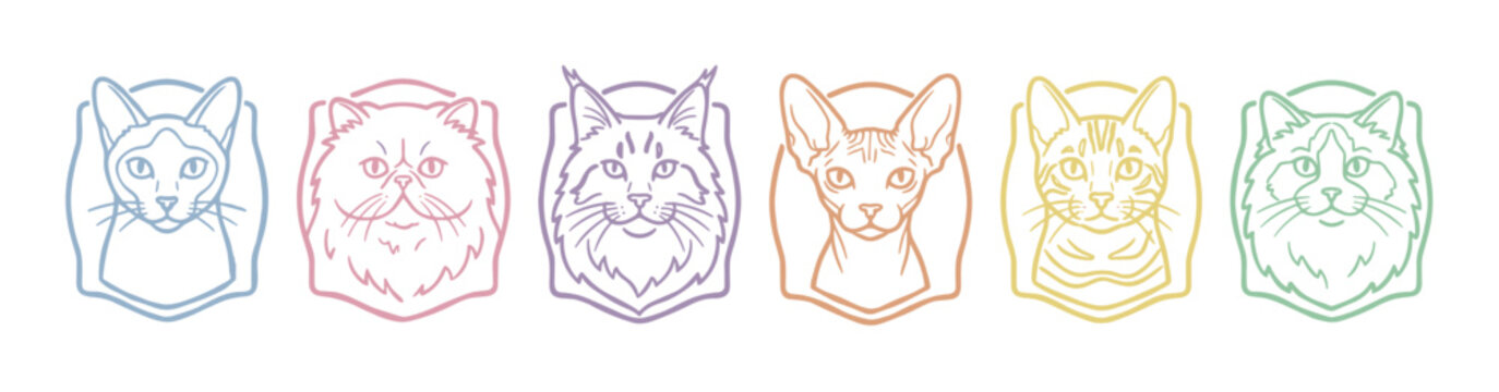 Six different cat breeds illustrated with charming minimalist line art outlines, each featuring a distinct pastel color and unique facial features.