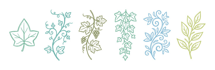 Fototapeta premium Botanical line art elements collection features various hand drawn plant illustrations, including ivy, grapevines, and leafy branches in a charming doodle style.