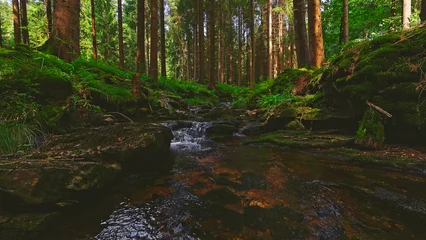 Crystal clear forest stream flowing through lush green woodland. Peaceful natural landscape with moss covered rocks, fresh water and tranquil wilderness atmosphere. © Jag_cz