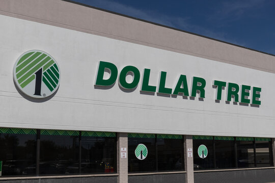 Dollar Tree Discount Store. Dollar Tree offers an eclectic mix of products for a dollar and a quarter. Or more.