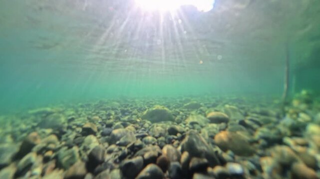 Underneath and Rising Above Smith River in Northern California