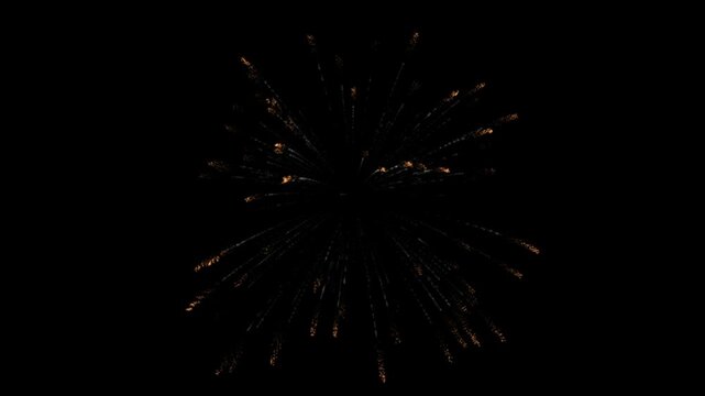 Fireworks burst against a deep black background, showcasing intricate patterns of light and motion that capture the essence of a joyous public festival or a memorable midnight New Year celebration.