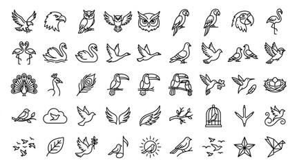 Fototapeta premium A collection of various bird illustrations and icons are shown.