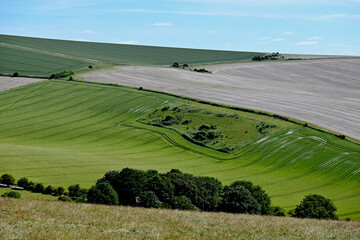 Naklejka premium Patchwork Farmland Across Rolling Countryside Hills