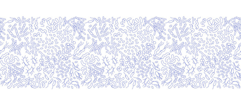 Seamless border pattern with human gut microbiome bacteria, probiotics and microflora icons. Linear medical background with copy space, blue line on white. Vector Illustration, editable stroke weight