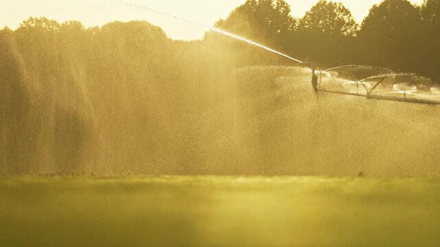 Irrigation watering sprinkler. Irrigation covers watering sprinkler. Modern irrigation spans farmland. Center pivot irrigation field.