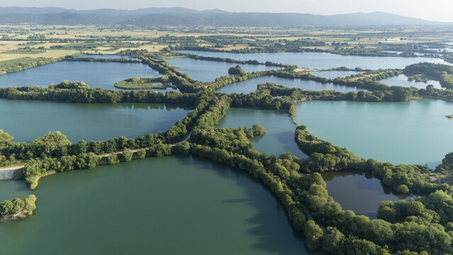 Aerial view of the Lagoa de Antela wetlands featuring interconnected pools of green water surrounded by lush trees and vegetation in Ourense, Ourense, Spain.