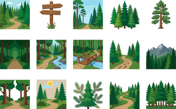 a set of forest scenes and trees illustration