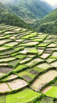 Aerial shot of the amazing terraced rice paddies in the mountains near the small town of Bayyo in the Philippines. Vertical video.