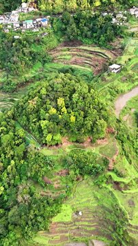 Aerial shot of the amazing terraced rice paddies in the mountains near Banaue Philippines. Vertical video.