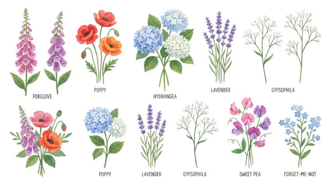 Elegant set of forty-two vibrant watercolor wildflower illustrations featuring purple lavender red poppy blue hydrangea and pink foxglove botanical vector floral elements on white background