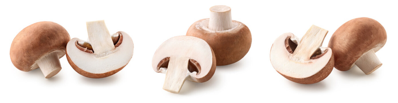 Set of various whole and halved fresh brown champignon mushrooms