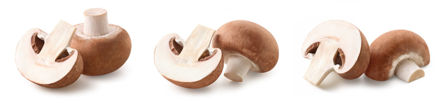 Set of various whole and halved fresh brown champignon mushrooms