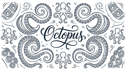 Octopus vector illustration, marine animal tentacles, sea creature. © Ojufa