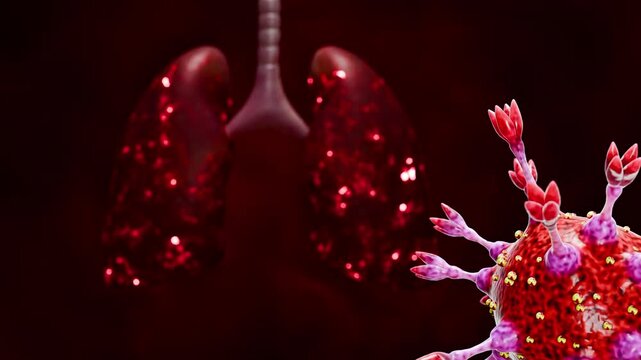 COVID 19 Coronavirus Infection Damaging Human Lungs Showing SARS CoV 2 Viral Attack Pulmonary Inflammation Respiratory Disease Tissue Injury Pneumonia and Healthcare Medical Concept 3D Rendering
