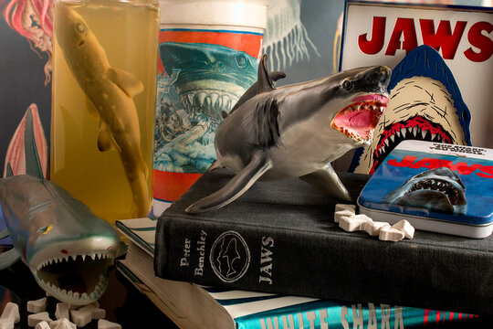 Tribute to JAWS collage, featuring shark artwork and depictions of Peter Benchley's novel