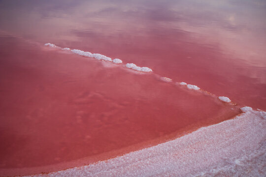 Abstract line of white salt crystals in pink water. Minimalistic high-angle shot capturing a natural straight line of white salt formations dividing the vibrant pink water surface of a salt lake.