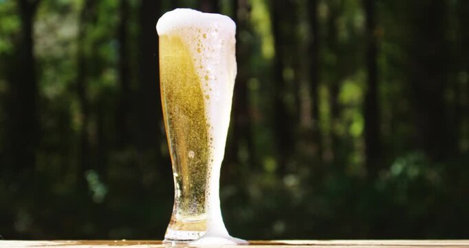 Freshly brewed craft lager bear with foam. Beer mug in summer nature. Sparkling amber ale beer with natural background. Barley malt craft beer on wooden table. Pouring fresh beer with splash.