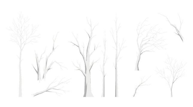 Winter bare trees CAD models, isolated on white background, high detail