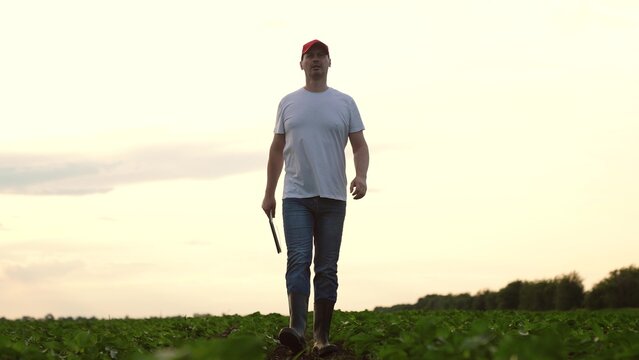 Agriculture, Modern agriculture scene with man exploring potential of his harvest, Young man working outdoors on sustainable farm under calm sky, Dedicated farmer assessing soil quality and crop