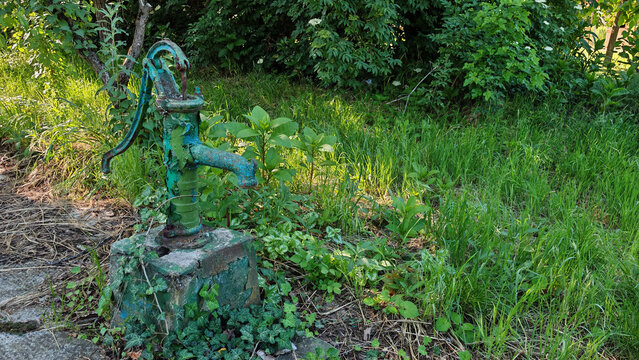 Old vintage hand pump surrounded by overgrown grass and plants  