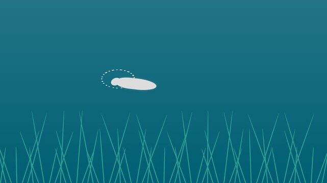 Minimalist 2D Animation of a White Flying Saucer UFO Hovering Over Tall Grass.