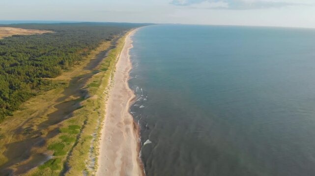 Aerial view of the Baltic Sea coastline near Klaipeda city, Lithuania, with sandy beach and pine forest on a sunny summer day.