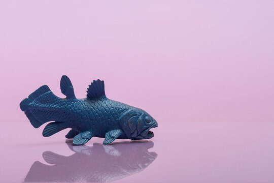 Coelacanth Toy Figure Photographed on Colored Background &mdash; Living Fossil Marine Life