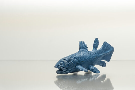 Coelacanth Toy Figure Photographed on Colored Background &mdash; Living Fossil Marine Life