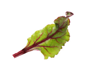 Obraz premium One fresh beetroot leaf isolated on white