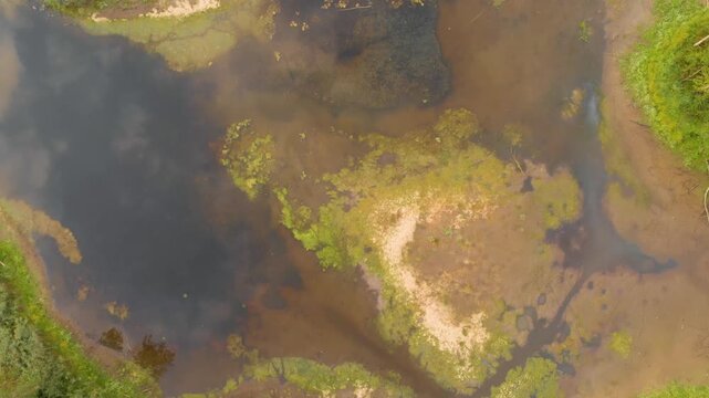 An overhead, drone shot captures the natural beauty of a a vast wetland area in Lithuania. The footage shows a mix of shallow water, sandy banks, and lush green and brown vegetation, highlighting a pr