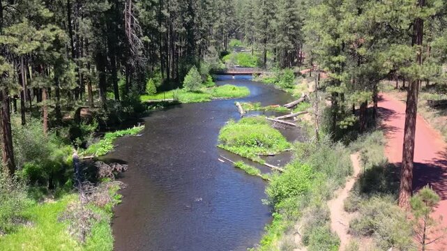 Upper Metolius River Near Camp Sherman, Oregon &ndash; Scenic Forest Waterway in Summer, 4K Video