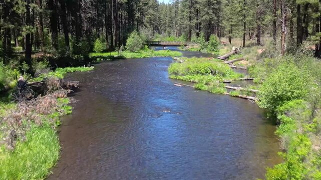 Upper Metolius River Near Camp Sherman, Oregon &ndash; Drone Flyover of Pristine Forest River, 4K
