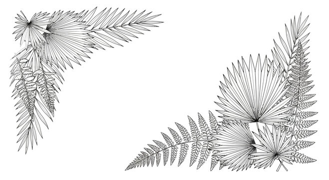 Ornate Fern Leaf Corner Borders - Vintage Botanical Line Art Decoration