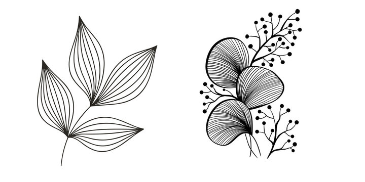 Black and white line art of leaves and flowers on transparent background