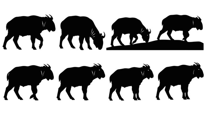 Eight black silhouettes of animals walking in various positions on a plain white background image-467.ai