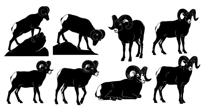 Several black silhouettes of bighorn sheep rams are shown in various natural poses and environments.