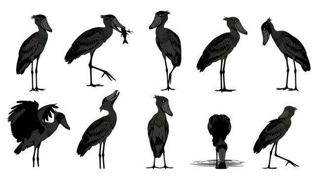 A collection of various stork silhouettes standing in different poses on a clean surface with some holding fish.