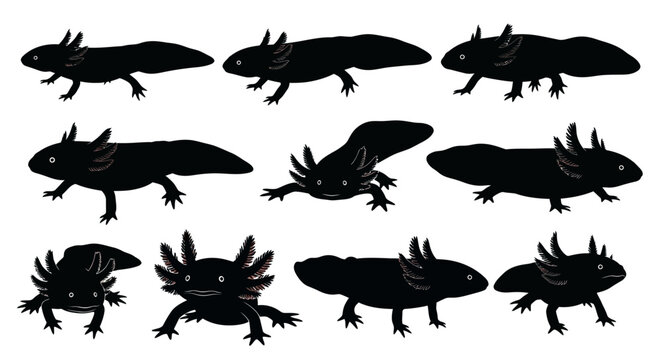 A group of various lizard silhouettes are walking on a plain white surface in different poses and directions.