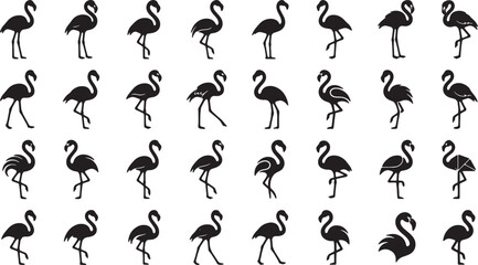 black flamingo silhouettes on white background © Sumon90cs