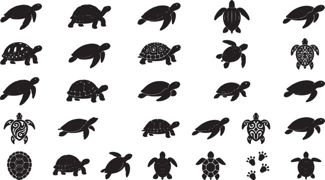 Black silhouettes of various turtles and tortoises on white background