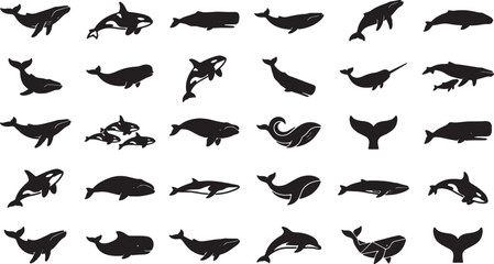 Collection of various whale and dolphin silhouettes on transparent background © Sumon90cs