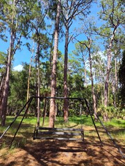 Fototapeta premium John Chesnut Sr park close to Lake Tarpon. Lake Tarpon is the largest freshwater lake in the Tampa Bay area, covering over 2,500 acres. Located in Pinellas County near Tarpon Springs and Palm Harbor