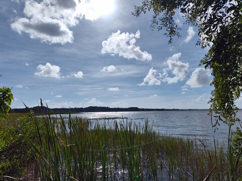John Chesnut Sr park close to Lake Tarpon. Lake Tarpon is the largest freshwater lake in the Tampa Bay area, covering over 2,500 acres. Located in Pinellas County near Tarpon Springs and Palm Harbor