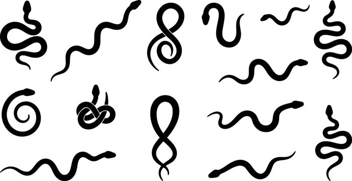 Snake silhouette collection diverse black serpent shapes for graphic design and illustration